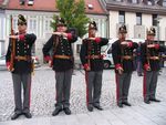 Bild Nr. 17074