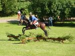 Bild Nr. 23248